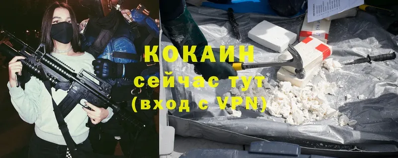 Где продают наркотики Ельня Гашиш  Cocaine  Псилоцибиновые грибы  МАРИХУАНА  Меф мяу мяу 